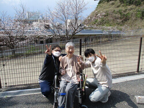 お花見