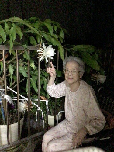 月花美人