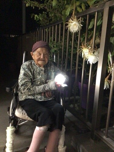 月下美人